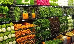 中國農貿電商平臺行業現狀及發展前景分析