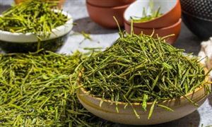 茶葉市場消費現狀及市場變化趨勢分析