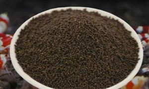 2022小龍蝦飼料市場需求及未來發展方向分析 2022年小龍蝦價格走勢如何?