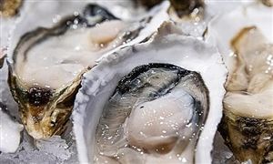 2022生鮮電商行業前景及現狀分析報告