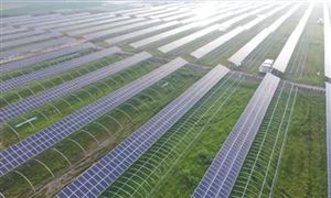 2022年高效農業行業現狀及發展前景分析