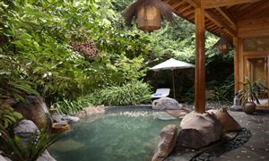 2022年溫泉度假行業(yè)市場定位及發(fā)展趨勢分析