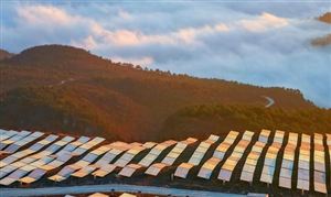 2022有機硅行業發展現狀及前景分析