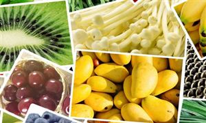 2022有機農產品行業市場發展現狀及行業發展趨勢分析