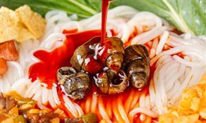 2022中國網(wǎng)紅小吃行業(yè)發(fā)展趨勢及現(xiàn)狀分析報(bào)告