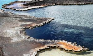 2022不溶性硫磺行業產量及市場現狀分析