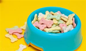 全球寵物食品市場近況 寵物食品行業發展模式研究