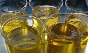 生物柴油行業(yè)市場規(guī)模及發(fā)展前景分析