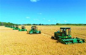 2022全球糧食市場供需情況及價格走勢預測