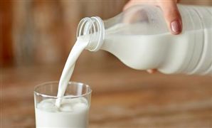 牛奶行業企業現狀 牛奶行業市場發展趨勢分析