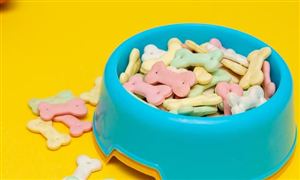 寵物用品行業(yè)市場(chǎng)消費(fèi)規(guī)模 寵物用品行業(yè)需求分析