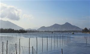 2022水產養殖行業發展趨勢及市場現狀分析