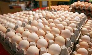 雞蛋加工市場調(diào)研 雞蛋加工行業(yè)現(xiàn)狀分析