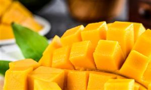 芒果市場進(jìn)出口現(xiàn)狀 芒果行業(yè)產(chǎn)業(yè)鏈分析