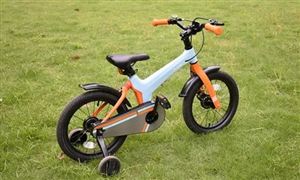 2022年兒童自行車行業發展趨勢及市場前景調研分析