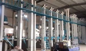 2022年大米加工行業現狀及發展前景分析