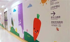 2022年民營兒科醫(yī)院行業(yè)現(xiàn)狀及發(fā)展前景分析