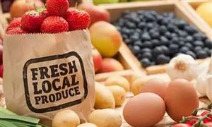 2022年有機(jī)食品行業(yè)現(xiàn)狀及發(fā)展前景分析