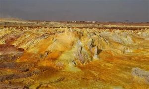 不溶性硫磺市場進口情況及行業(yè)發(fā)展空間分析