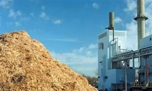 生物質能的利用途徑 我國未來生物經濟的產業規模