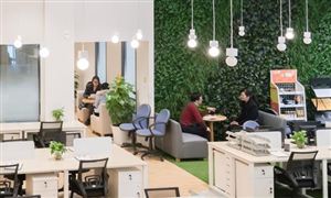 企業孵化器是什么? 企業孵化器?主要結構和服務內容