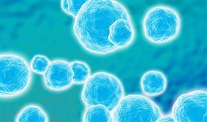 益生菌行業現狀分析 益生菌行業發展前景預測