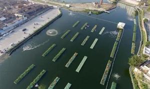 水生態修復行業市場分析 水生態修復發展前景預測