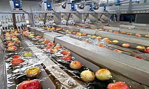 2022年水果加工行業發展前景及市場趨勢調查分析