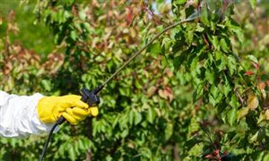 2022草甘膦行業產量及市場價格分析