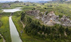 生態修復行業市場調研 生態修復發展趨勢預測