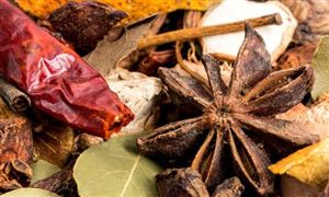 調(diào)味香料產(chǎn)業(yè)市場(chǎng)消費(fèi)競(jìng)爭(zhēng)現(xiàn)狀與發(fā)展戰(zhàn)略研究