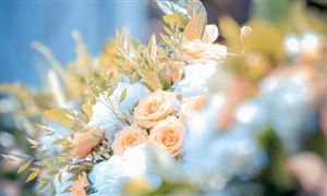 2022鮮花行業前景及現狀分析報告