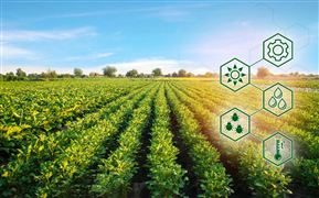 2022智慧農業產業政府發展方向與未來趨勢