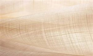 2022年苧麻布行業發展前景及市場規模分析