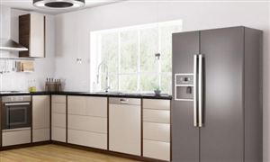 2022中國冰箱行業市場深度調研與未來投資分析