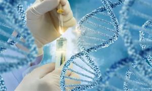 中國生物化工行業市場發展與投資趨勢分析