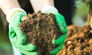 商品有機肥料行業分析 2022商品有機肥料市場需求如何