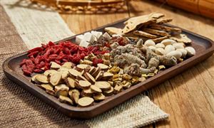 中藥行業深度調研 中國中藥行業投資前景研究