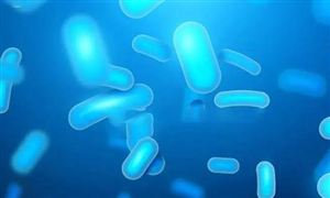 母乳低聚糖行業現狀分析 國內布局企業不斷增加