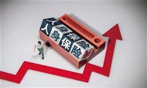 2022年人身保險行業發展趨勢及市場風險分析