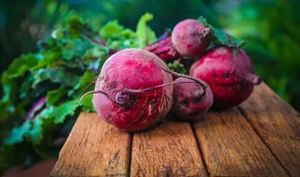 2022全國共生產食糖956萬噸 2022全球制糖行業產量與需求前景分析