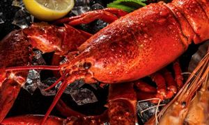 海鮮行業的市場分析 海鮮行業的發展趨勢分析2022