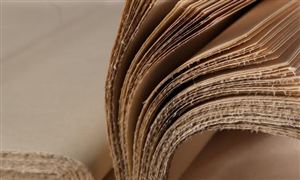 造紙板塊震蕩拉升 2022中國造紙行業市場全景調研分析