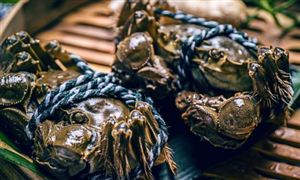 大閘蟹養殖產量 2022大閘蟹養殖行業市場需求分析