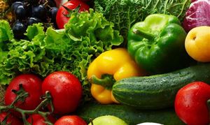 中國(guó)蔬菜加工行業(yè)市場(chǎng)需求 蔬菜加工行業(yè)市場(chǎng)競(jìng)爭(zhēng)力分析