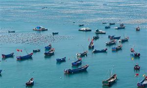 特種養(yǎng)殖市場現(xiàn)狀及前景分析2022