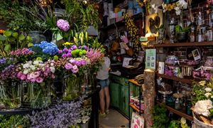 花店行業(yè)市場需求 花店行業(yè)發(fā)展趨勢預測