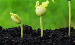 今年化肥價格波動較為劇烈 化肥市場分析2022