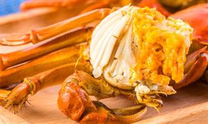 陽澄湖大閘蟹再努力也將缺席中秋 大閘蟹行業深度調研及投資前景預測2022