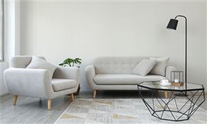 商務部部長助理李飛：進一步促進汽車、家電、家居等重點領域消費